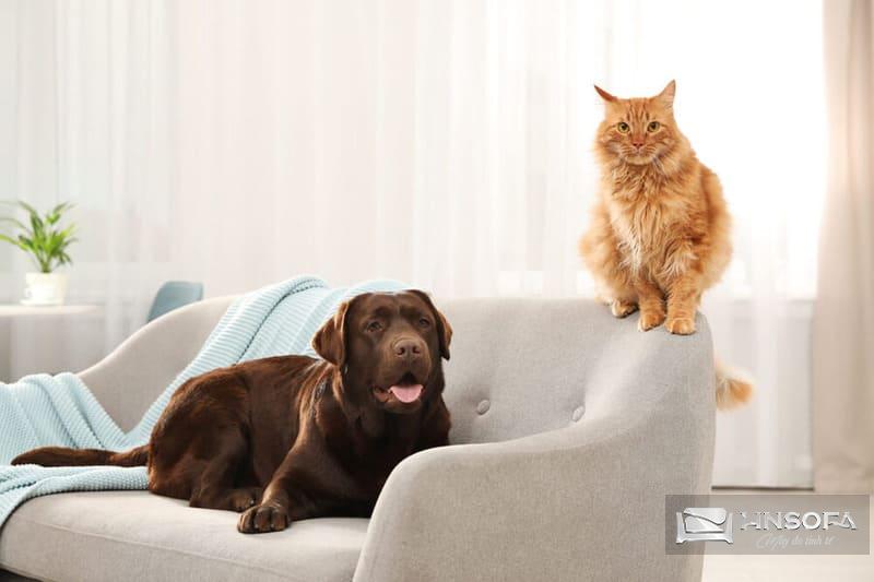 Để thú cưng tránh xa, không leo trèo lên ghế sofa