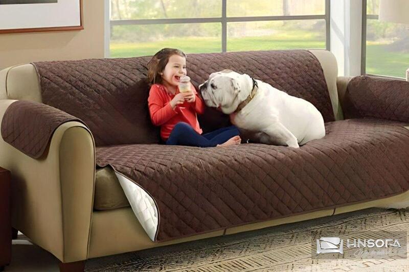 Ghế Sofa có mùi hôi do đâu?