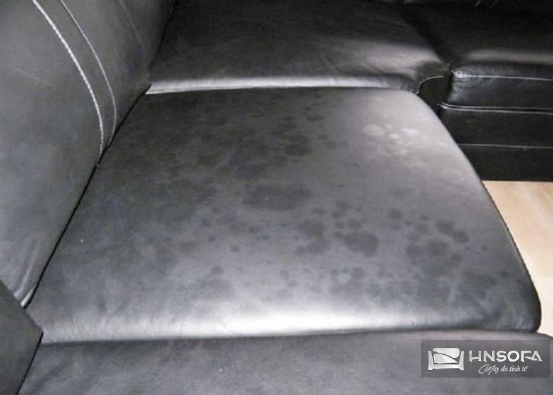 Vết mốc thường xuất hiện khi sofa tiếp xúc với độ ẩm