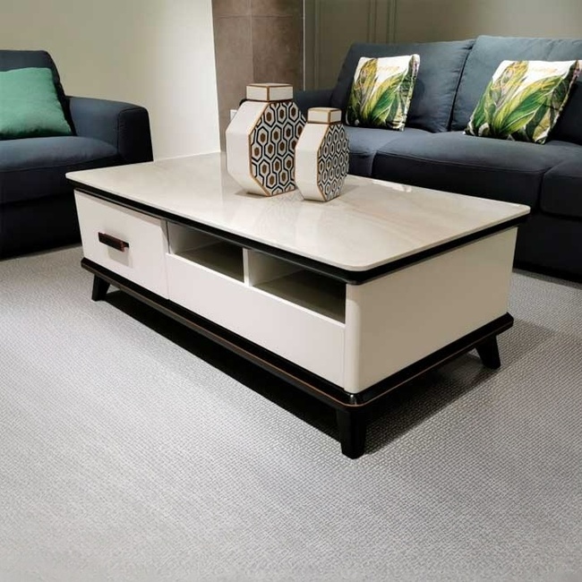 ban-tra-sofa-hien-dai (1)