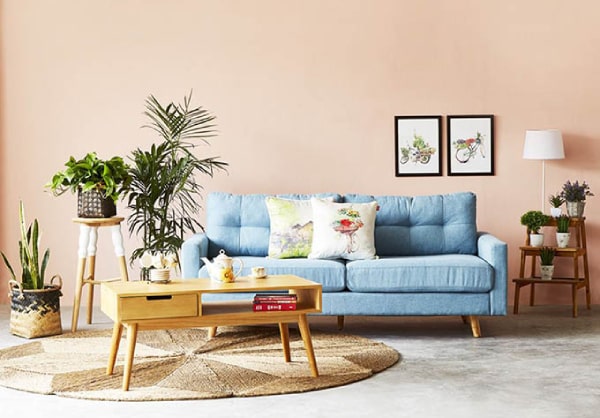 sofa-doi-6