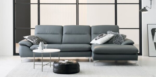 sofa-gia-dinh (3)