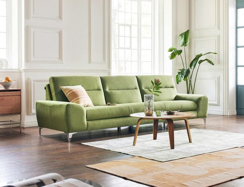 sofa-mau-xanh-la-cay-6