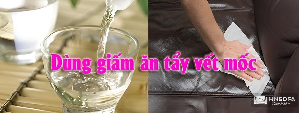 Sử dụng giấm ăn để vệ sinh ghế da bị mốc