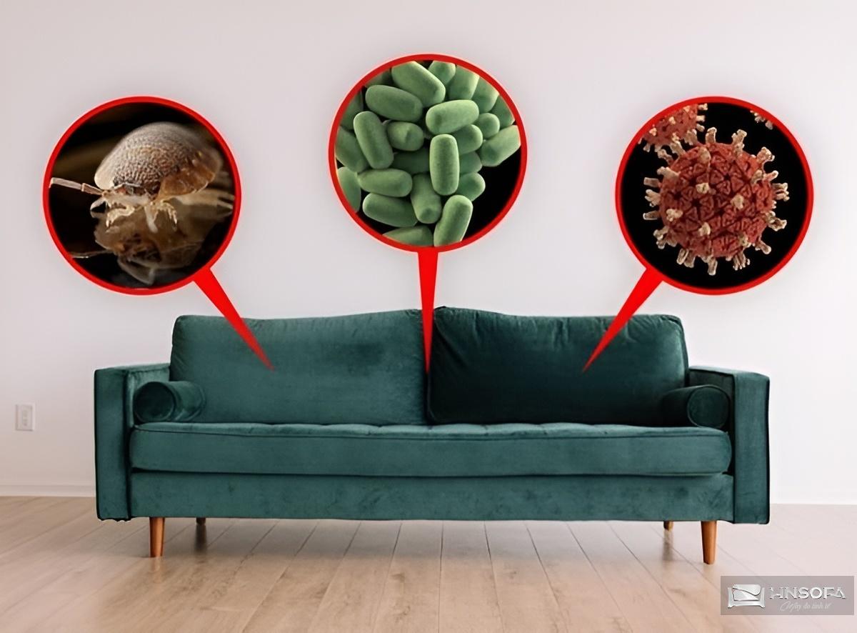 Vệ sinh sofa sạch sẽ giúp loại bỏ vi khuẩn, mùi hôi và ẩm mốc